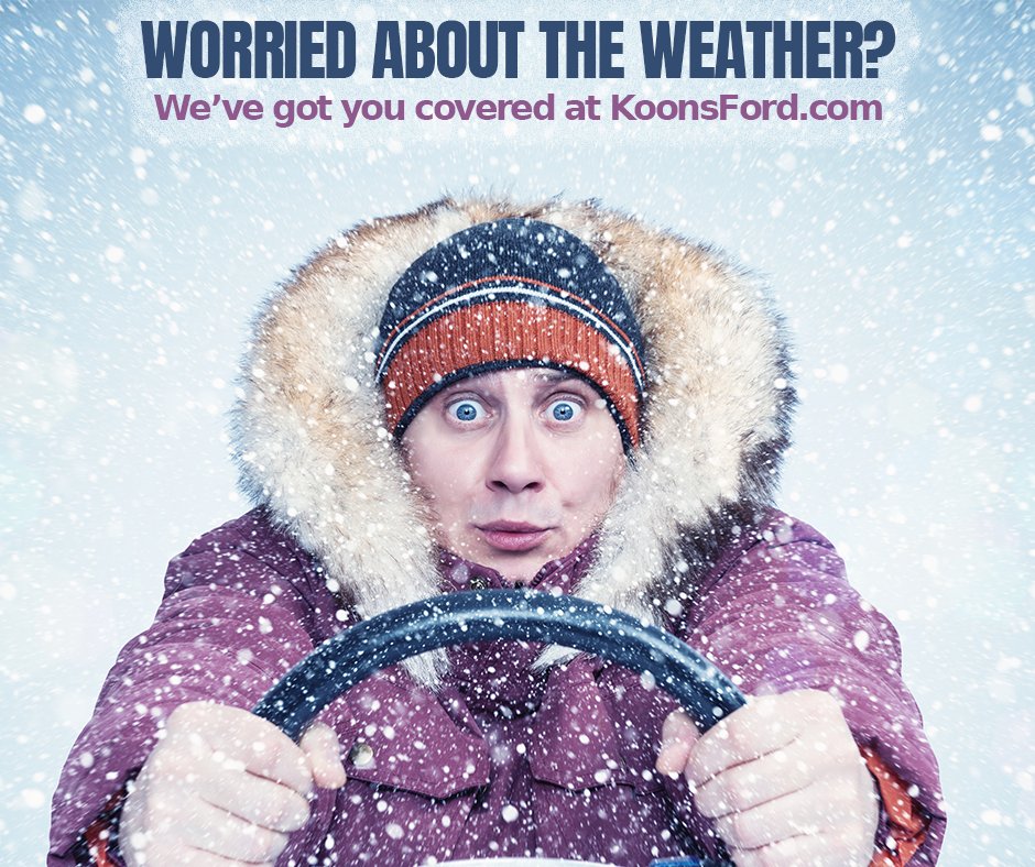 Koons Ford tweet media