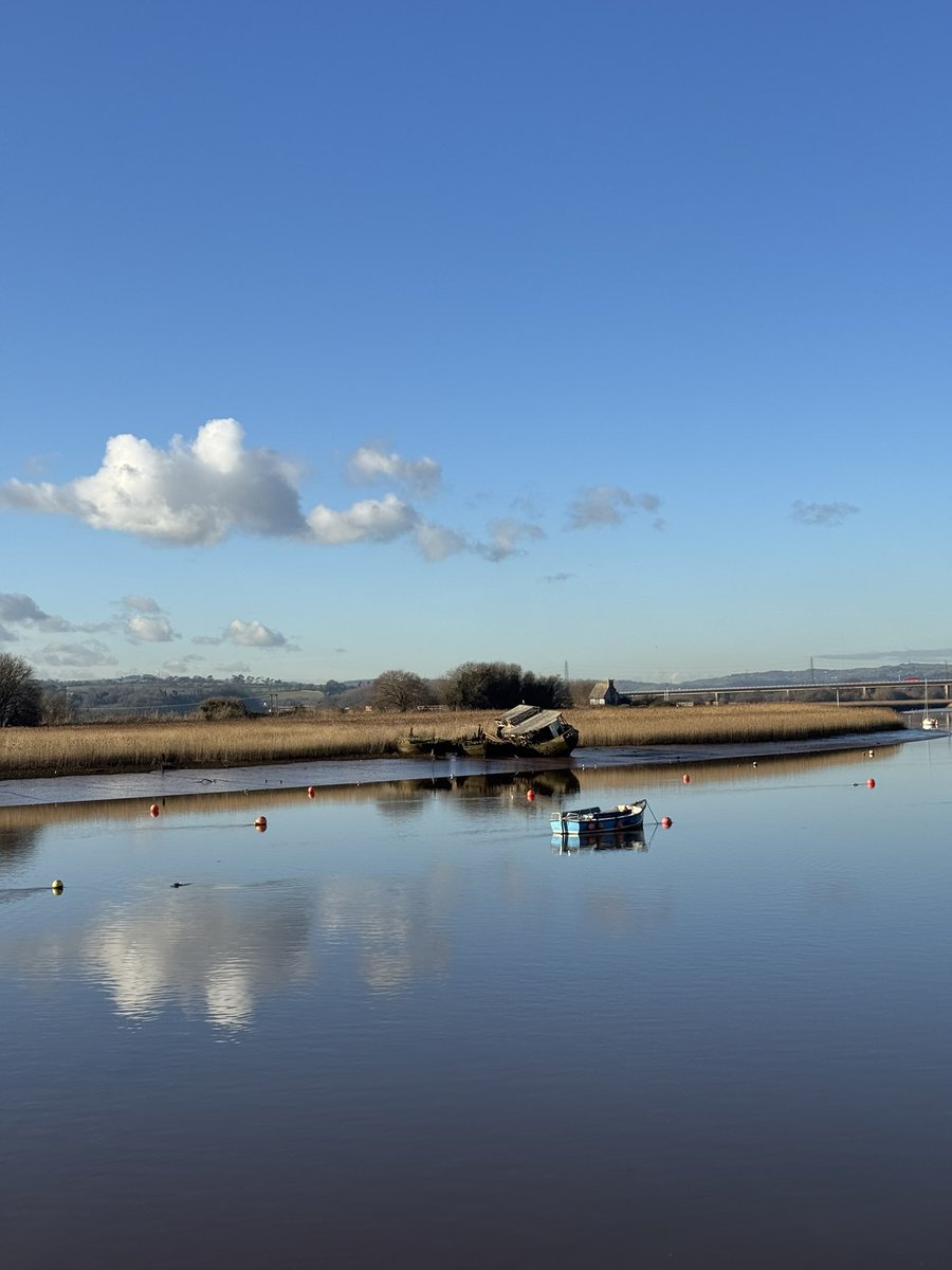 Steve Hearn (@stevesdhearn22) on Twitter photo Nice to see a Glossy Ibis around 2pm today. Viewed from the Goatwalk, Topsham flying over the edge of town from Exminster heading east. Looks like the same bird arrived at BHM, Seaton late afternoon. No photo but cracking view for a minute or so <a href="/DevonBirds/">Devon Birds</a> <a href="/wildlife_devon/">Wildlife In Devon</a> Nice to see a Glossy Ibis around 2pm today. Viewed from the Goatwalk, Topsham flying over the edge of town from Exminster heading east. Looks like the same bird arrived at BHM, Seaton late afternoon. No photo but cracking view for a minute or so <a href="/DevonBirds/">Devon Birds</a> <a href="/wildlife_devon/">Wildlife In Devon</a>