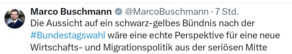 NoAFD_BTW33's tweet image. Das 👇 wäre der Horror für 🇩🇪‼️ #fdpschadetunsAllen