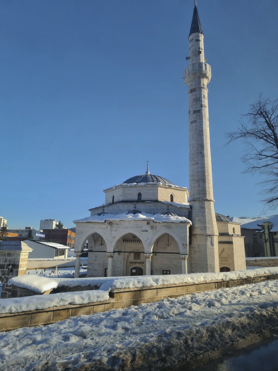 a🪷 (@tooortilja) on Twitter photo 