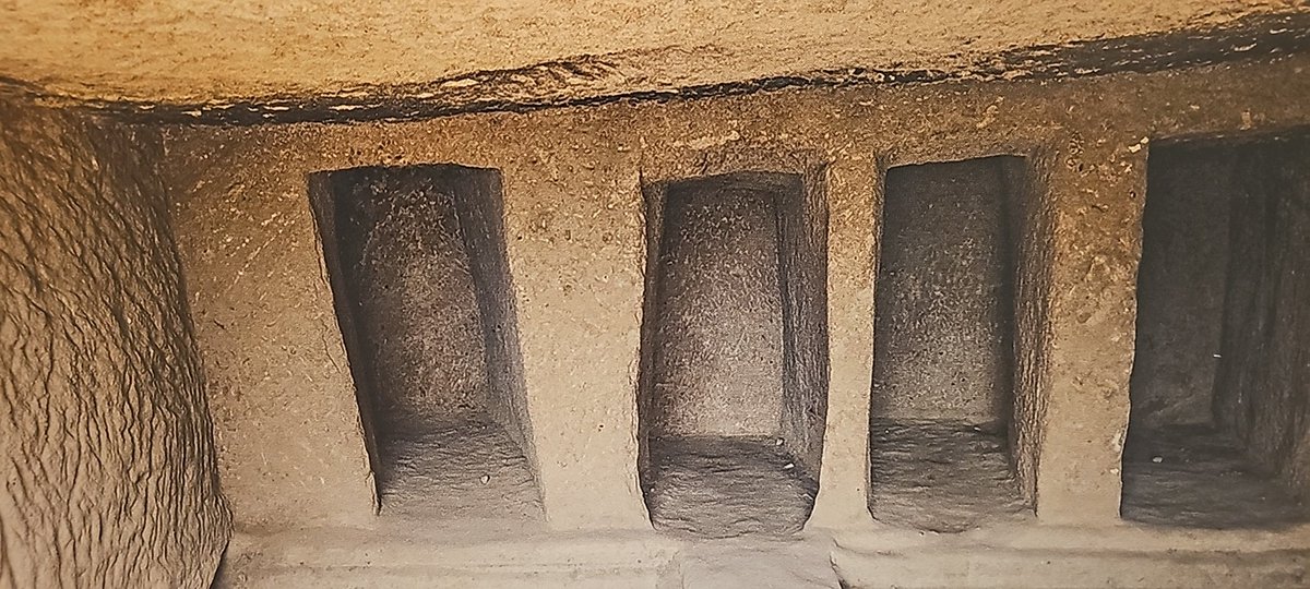 هادي ابن درهم اللخافيف الوايلي (@hadi6274) on Twitter photo 