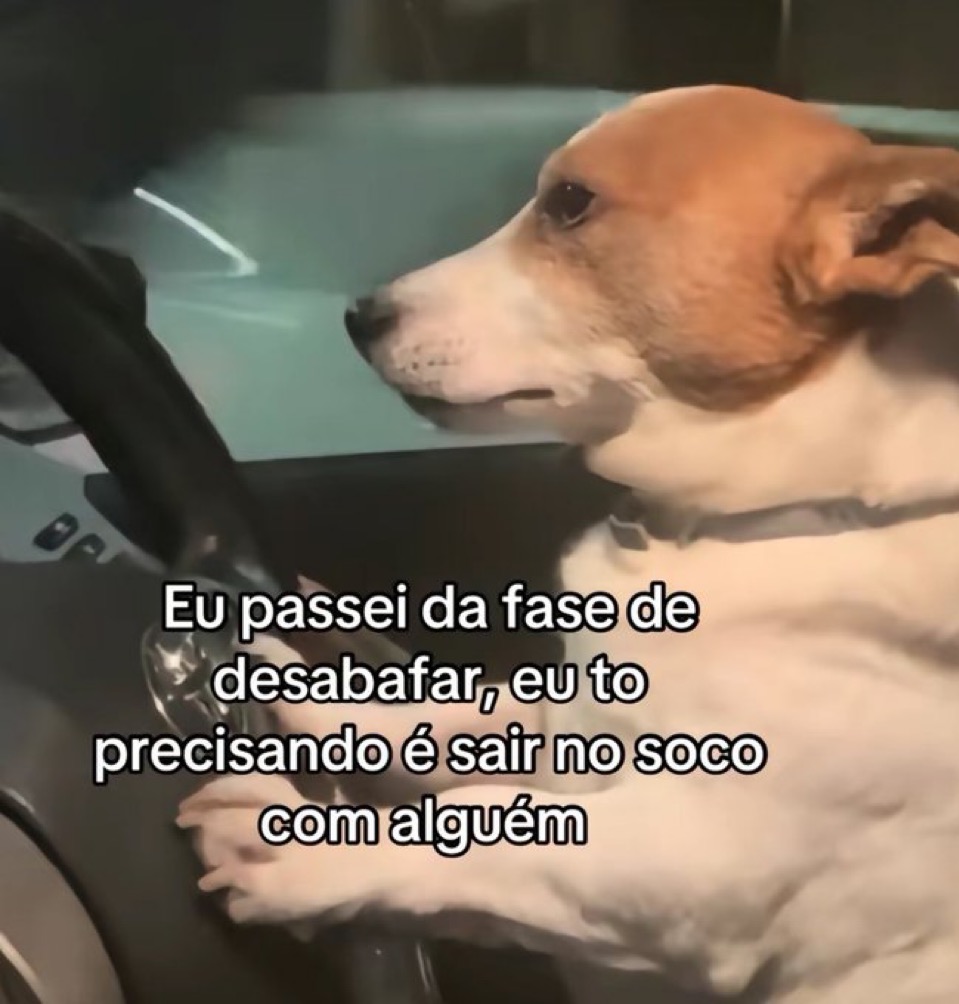 safadenha ✪ (@ousafadenha) on Twitter photo 