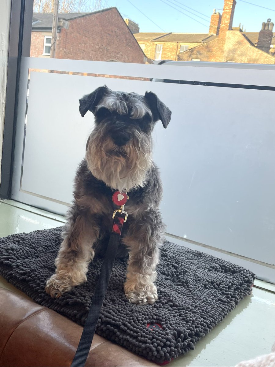 IndiaWilloughby's tweet photo. “Where’s my sausages?” #CafeLive https://t.co/MjT8a7Csot