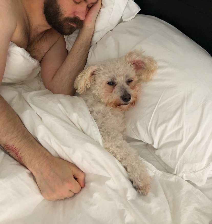 Andrew Ellis tweet media