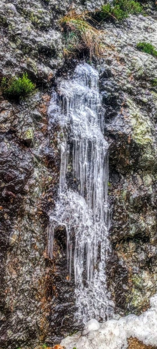 MotoresRepechin's tweet image. Hielo que hay... #picos