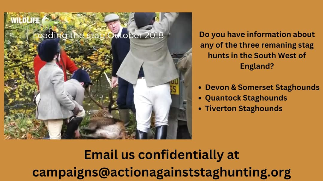 ActionAgainstS's tweet image. Contact us confidentially 👇🏻

📷 @wlguardian