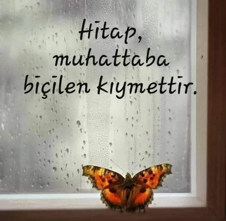 Murat ERDEMİR (@erdemiroglu) on Twitter photo 