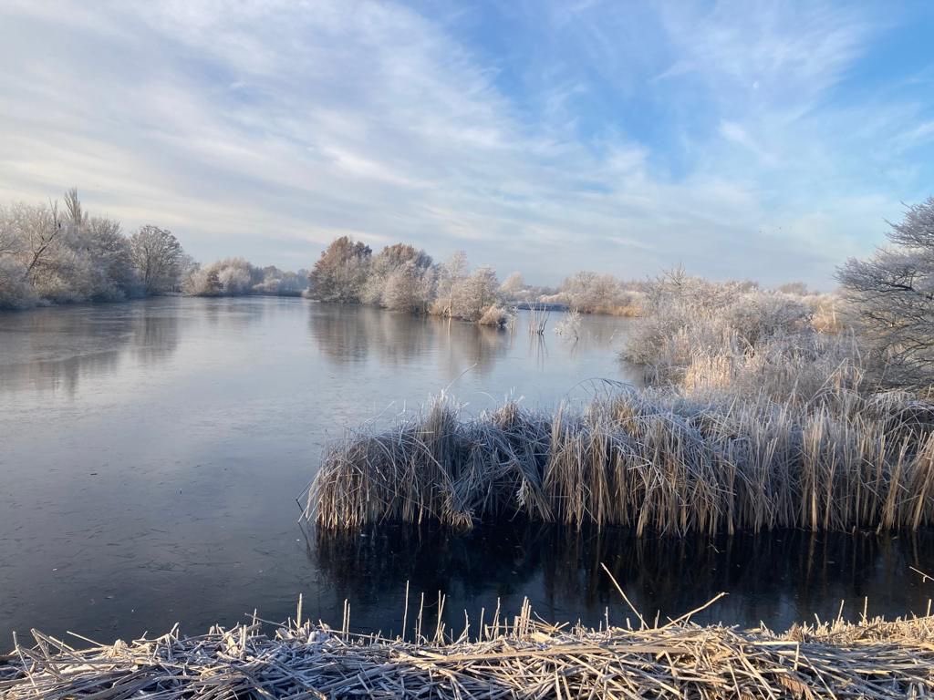 Zondag 12 januari organiseren we in ons prachtige waterwingebied een winterwandeling rond de Waterleidingplas,  met een lekkere kop snert toe. Meld je snel aan op                                 waternet.nl/service-en-con…     want vol is vol🤫