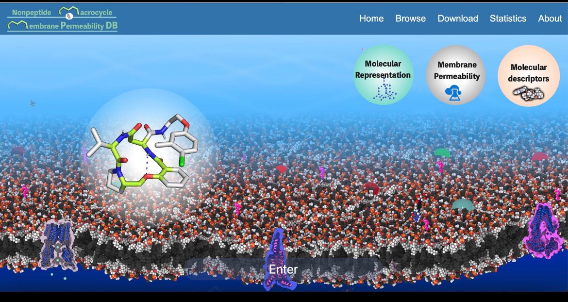 vasanthanathan's tweet image. New Publication Alert!
Excited to share our latest publication in Scientific Data: “A membrane permeability database for nonpeptidic macrocycles” by QIUSHI FENG, Danjo De Chavez, Jan Kihlberg