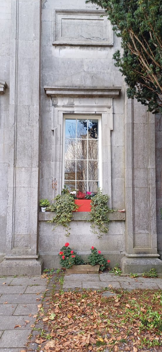 Galway City Council / Architectural Conservation tweet media