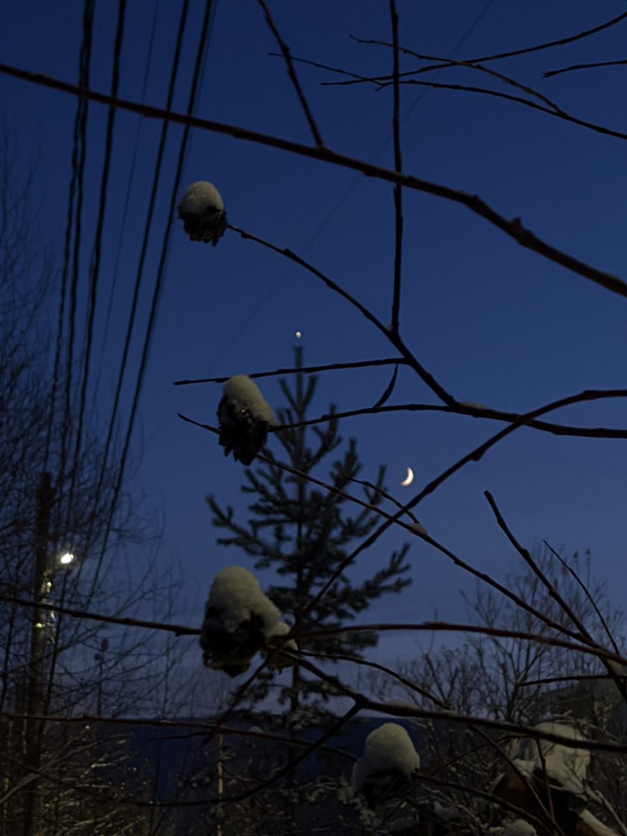 smartphone_astr's tweet photo. By our member Alexander aka Spring "Hello everyone.
🏙 #Moon & #Venus
📱 #Redmi Note 9
📷 #Google Cam - auto
📆 Jan 3, 2024. 05 PM
📌 #Lensk, Sakha Republic" - #mobilephotography #smartphone_astrophotography #nightskyphotography #conjunction @ThePhotoHour @MoonHourSocial https://t.co/wtEm5DiCmu