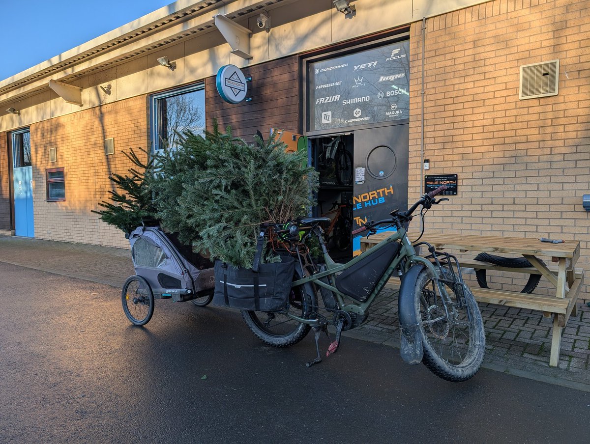 You can't carry two 7' Christmas trees to the tip AND carry two children....