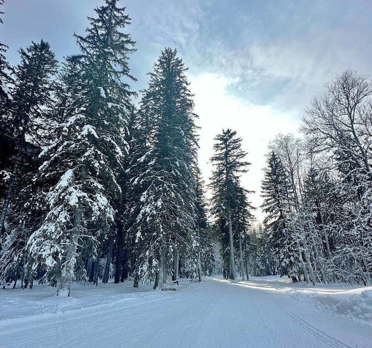 Happy New Year! 🎉❄️ We're excited to share our first snow report for 2025! The mountains are blanketed in fresh new snow and there's more on the way!

seechamonix.com/snow/

#SnowReport #Chamonixweather #SkiSeason #FreshPowder #weathertoski #seechamonix #chamonix