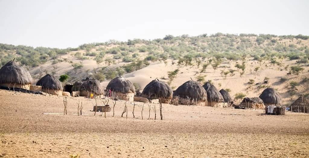 Voice Of Thar tweet media