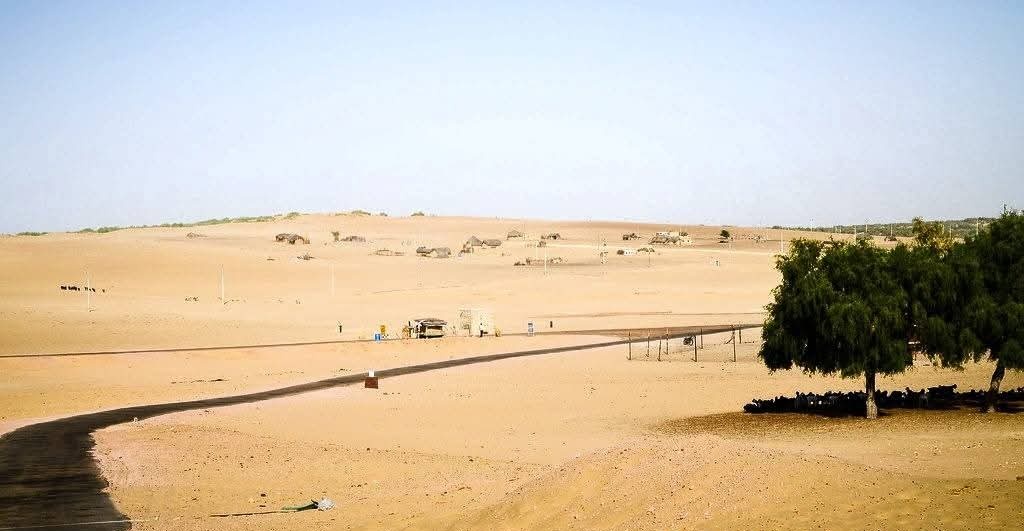 Voice Of Thar tweet media