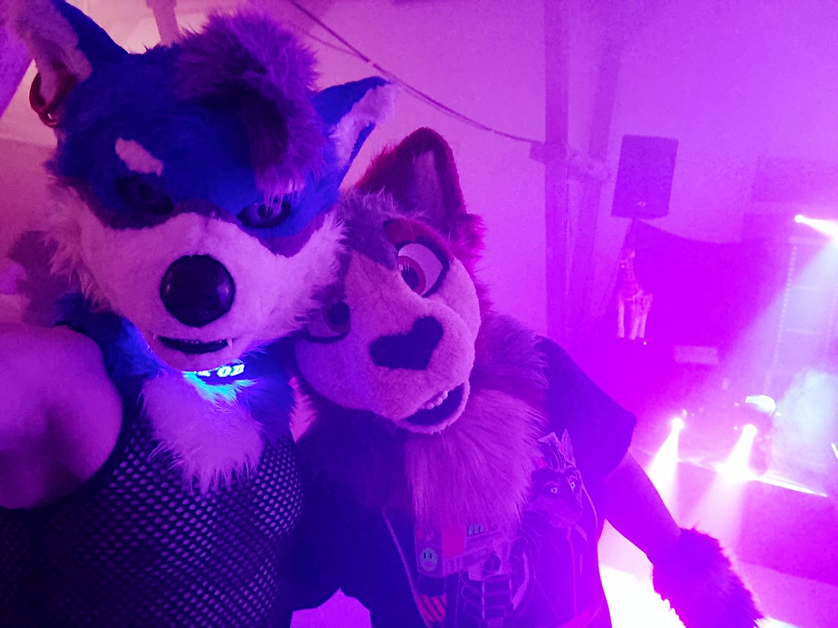 Theron (@theron_floof) on Twitter photo Happy new year and happy #FursuitFriday !
partying hard into the new year with <a href="/GrinningHamster/">GrinningHamster</a> and a lot of my cute friends at #Girafur IV Happy new year and happy #FursuitFriday !
partying hard into the new year with <a href="/GrinningHamster/">GrinningHamster</a> and a lot of my cute friends at #Girafur IV