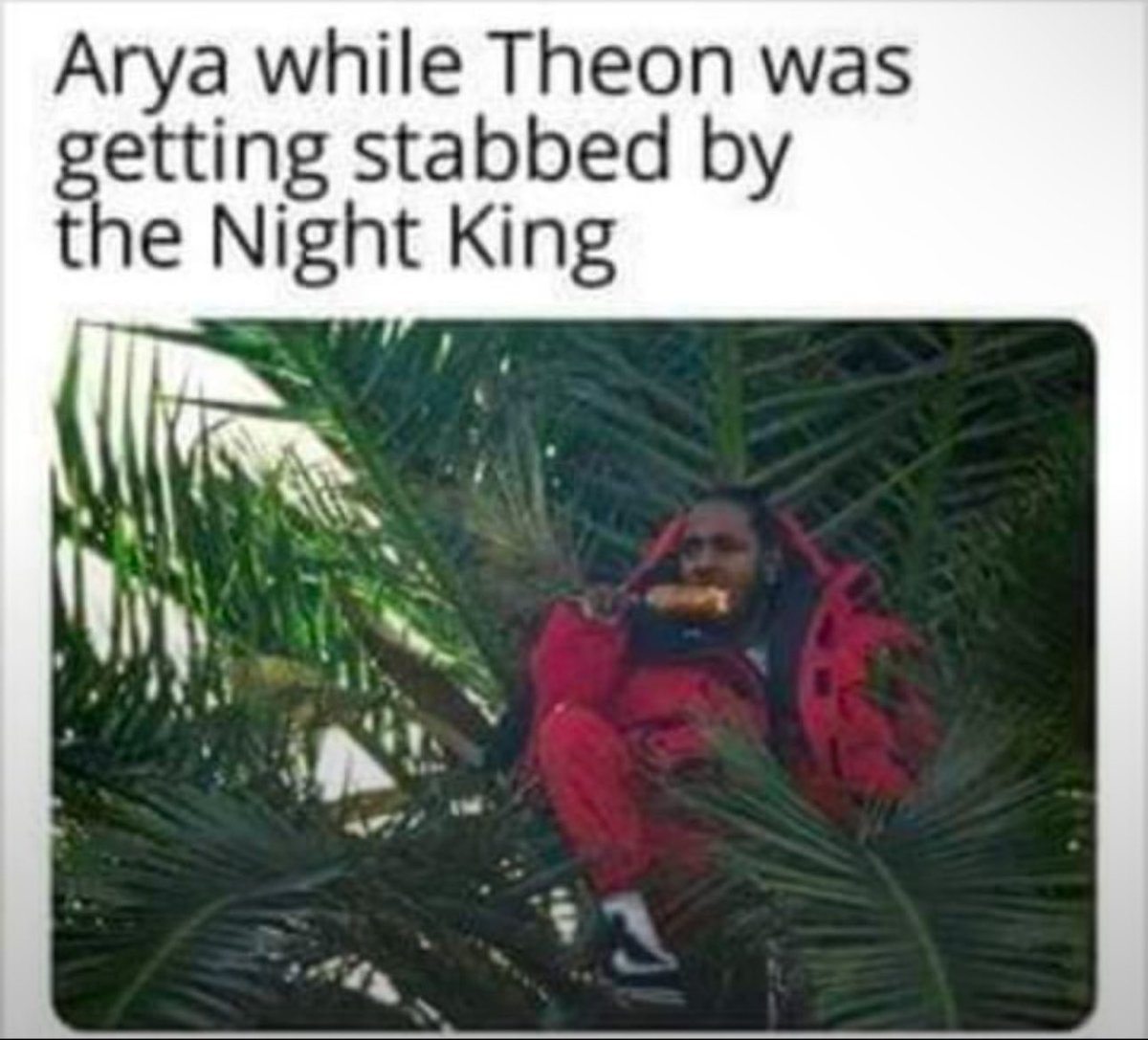 Westeros Watch (@westeroswatch) on Twitter photo 