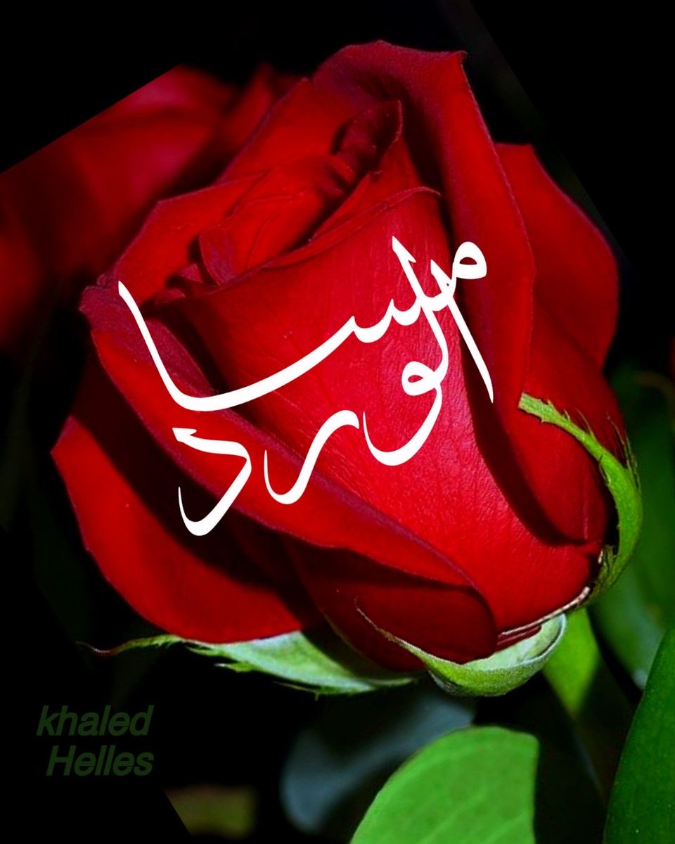 fatima Ahmed (@gerw_ahmed) on Twitter photo 