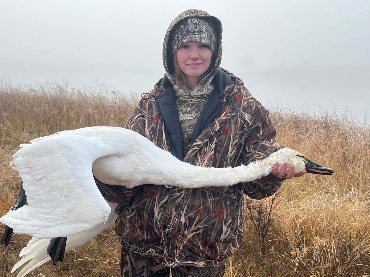 Who kills a swan? The mate will grief for life. Dawn Marie Joseph, mother of 2 &amp; waitress at Millstone Family Restaurant in Milbank, South Dakota did. How bloody cruel. 🤬RT
#BanTrophyHunting 
<a href="/SARA2001NOOR/">Sara✌️💙🍉peaceFOReveryone</a> <a href="/Angelux1111/">Angel</a> <a href="/Gail7175/">WatchDominion.com Ⓥ</a> <a href="/Lin11W/">🌱🌹❤️ Anonymous for the voiceless ❤️🌹🌱</a> <a href="/Protect_Wldlife/">PROTECT ALL WILDLIFE</a>