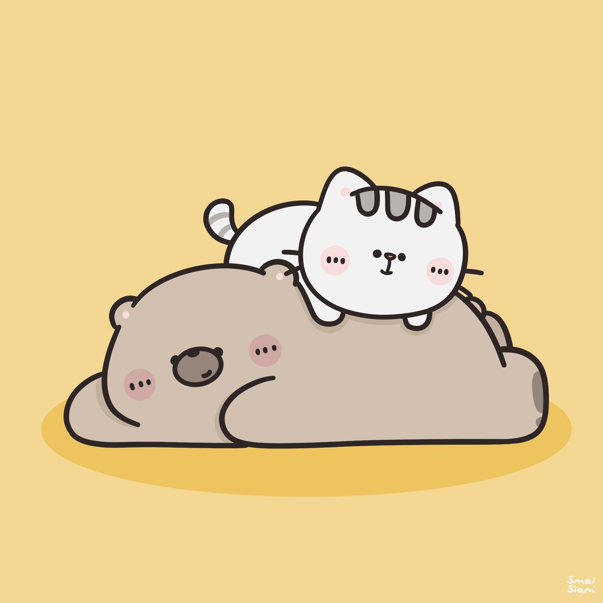 จมายเม่นเม่นและแมวพัมพุง 🦔🍑🐱 tweet media