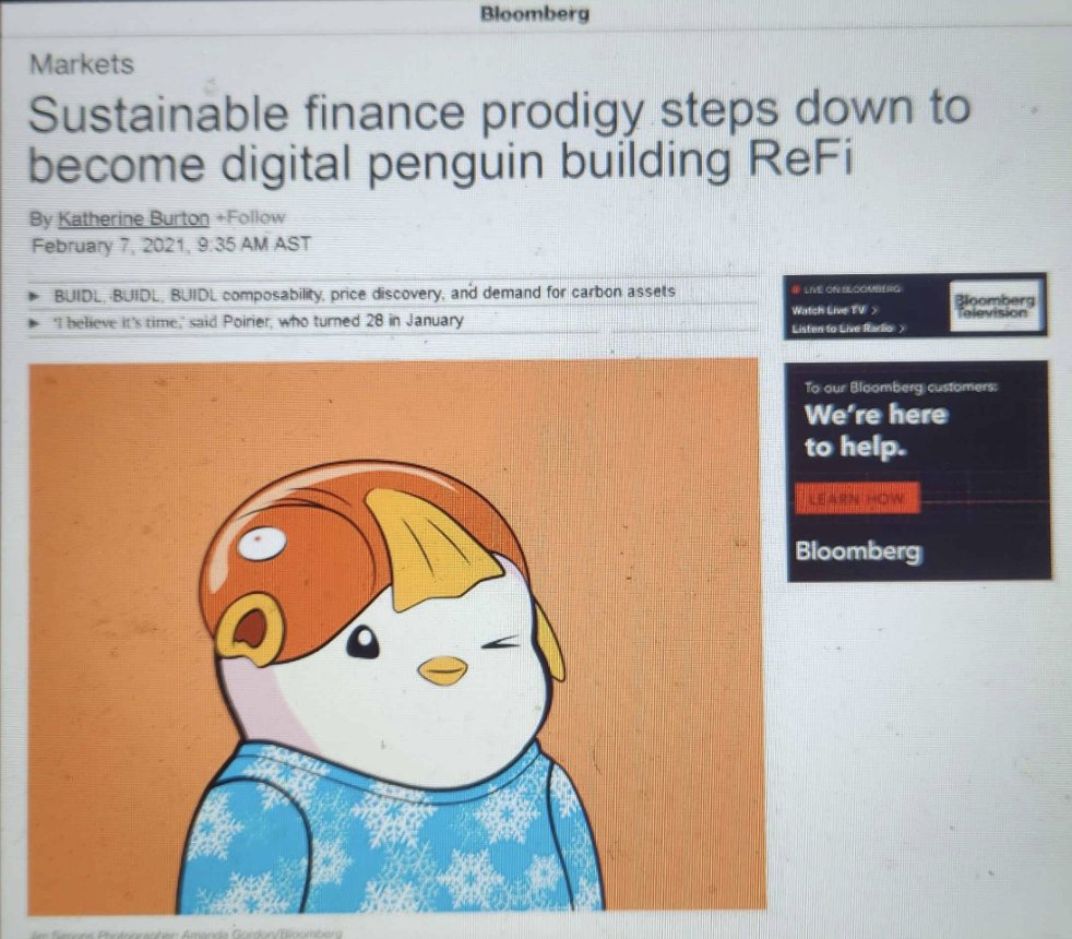 Ian Poirier 🌳 🌎 tweet media