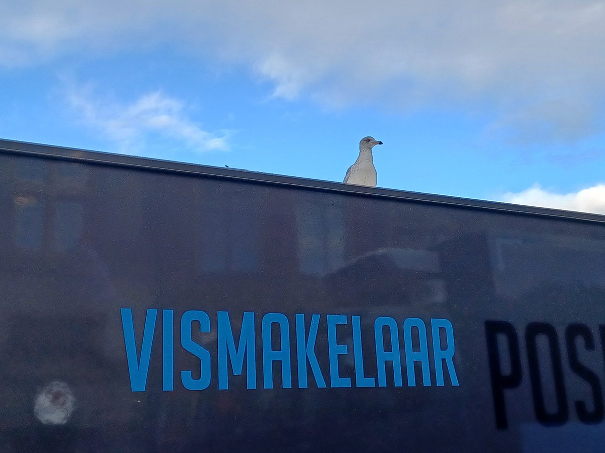 No context #fotovandedag #vismarkt #Groningen