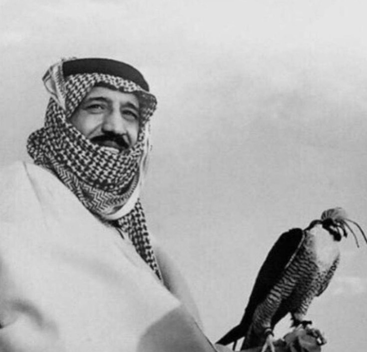 الملك سلمان و أنجاله tweet media
