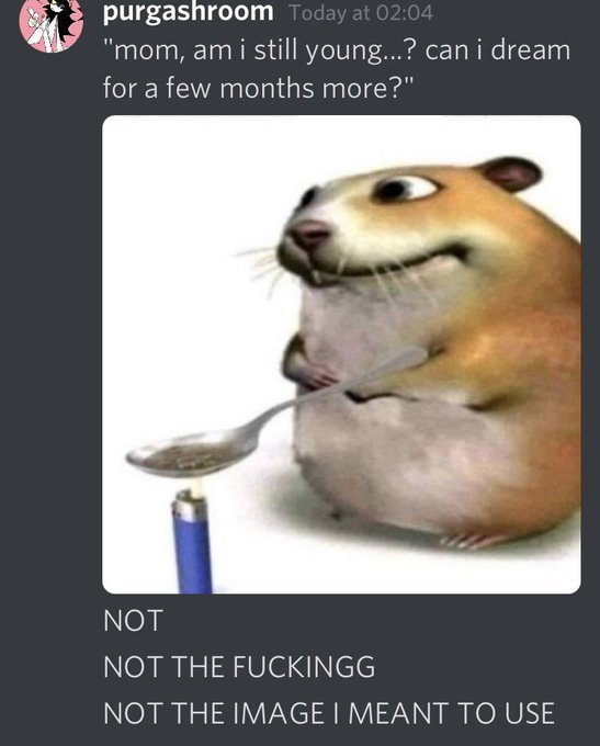 randomitskis's tweet image. 