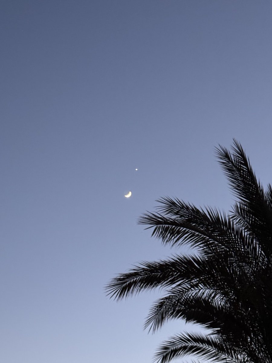 Cairo , now