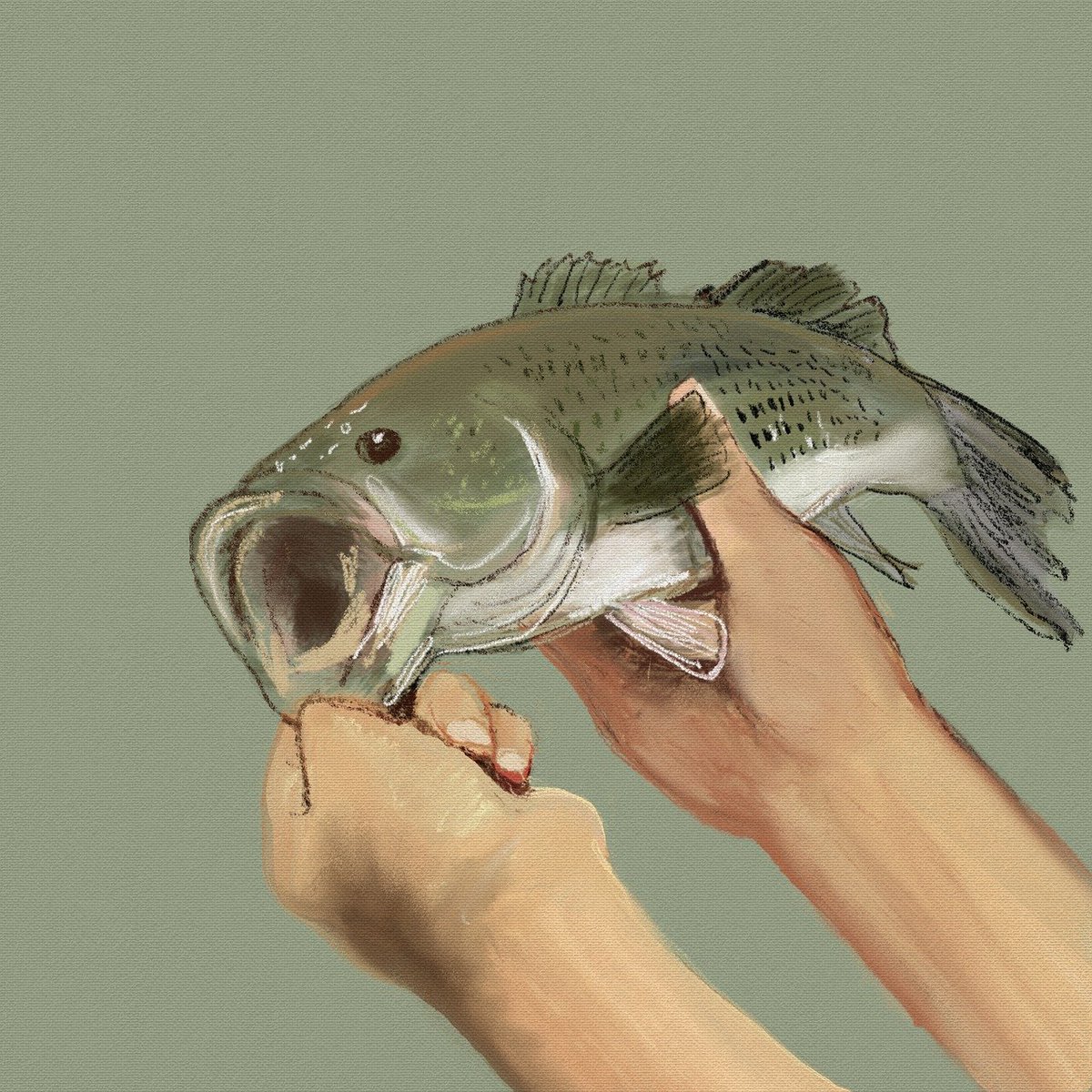 toocatchafish's tweet image. Fishing Tip: Learn to identify different types of fish. Knowing the species you're targeting will help you choose the right bait, tackle, and fishing techniques.

tocatchafish.com

#fishingtips #fishidentification #fishingknowledge #fishinglife #fishingaddict #fishing