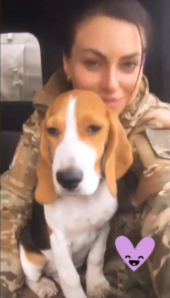 Oncle Bibi tweet media