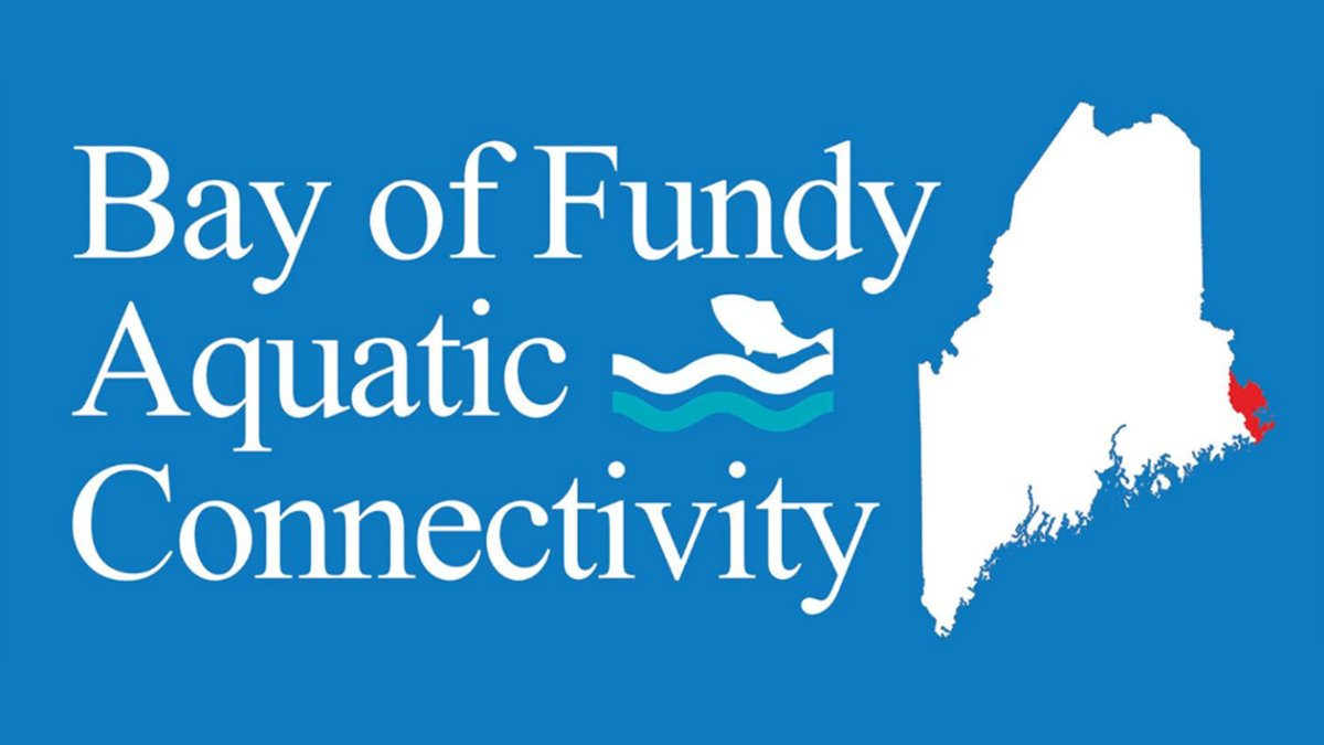 NRCSMaine's tweet photo. The Bay of Fundy Aquatic Connectivity project is focused on restoring aquatic organism passage and improving water quality in Downeast coastal watersheds that flow into the Bay of Fundy and the Gulf of Maine. Find out more: https://t.co/mfCs1fpk56 https://t.co/1PbxbhMtts