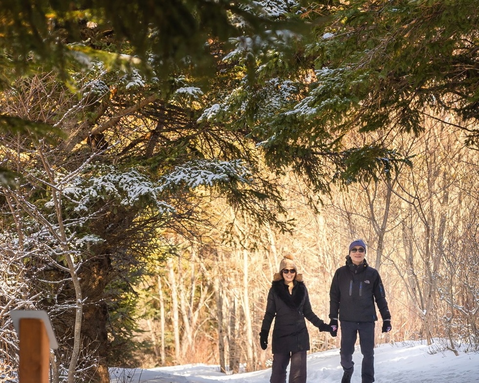 The trails are calling you! ❄️ 🥾 

Cavendish is your outdoor adventure hub. Explore over 11 incredible trails in the Green Gables Shore region. Bundle up, hit the trails, and experience the beauty of Cavendish this winter: cavendishbeachpei.com/trail-maps/