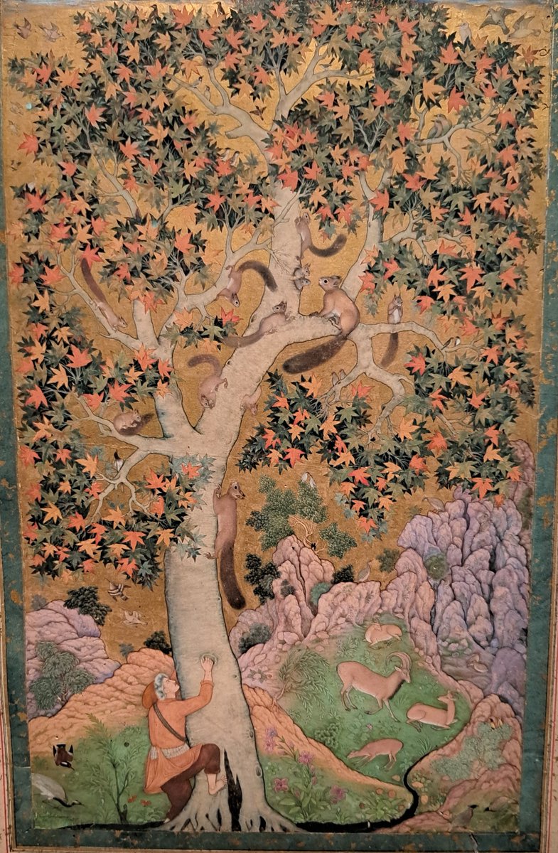 Kabir Kaul (@kaulofthewilduk) on Twitter photo Started the New Year with a visit to the <a href="/V_and_A/">V&A</a>. Their exhibition on the Mughals is spectacular, with paintings often featuring beautiful depictions of animals. Here's one from the early 1600s. Zoom in and see how many bird species you can find!
<a href="/Himalayologist/">Vaibhav Kaul</a> <a href="/RobGMacfarlane/">Robert Macfarlane</a> Started the New Year with a visit to the <a href="/V_and_A/">V&A</a>. Their exhibition on the Mughals is spectacular, with paintings often featuring beautiful depictions of animals. Here's one from the early 1600s. Zoom in and see how many bird species you can find!
<a href="/Himalayologist/">Vaibhav Kaul</a> <a href="/RobGMacfarlane/">Robert Macfarlane</a>