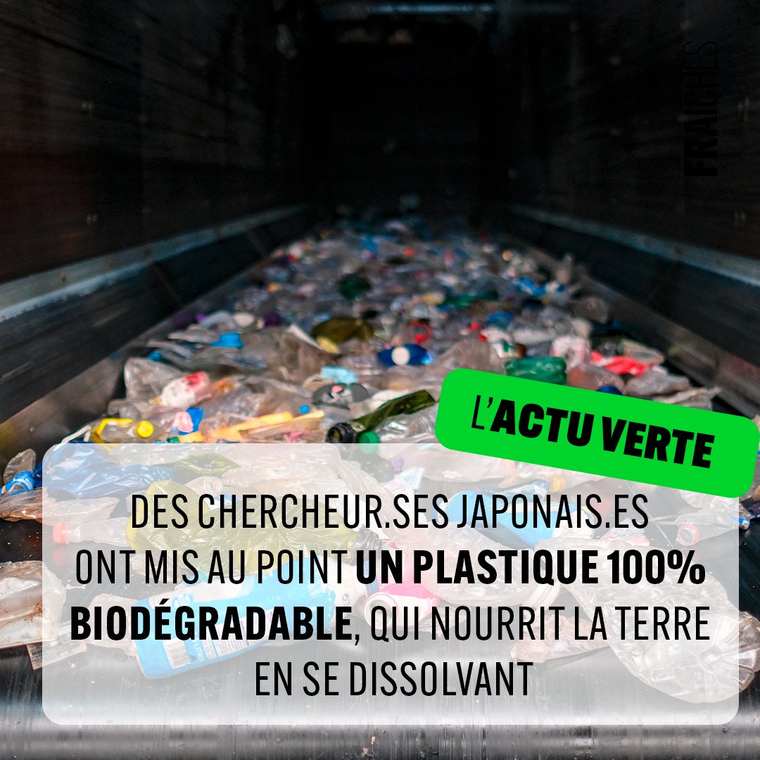 L'ACTU VERTE 👇

Des chercheur.ses japonais.es ont mis au point un nouveau matériau, qui se dissout dans l'eau salée et qui ouvre un horizon pour lutter contre la pollution des océans par les microplastiques.