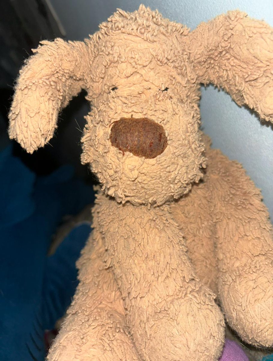 Please can someone help April? Was told nothing could be done to retrieve her beloved stuffed puppy, which was mistakenly taken with the sheet laundry at the Premier Inn, Central High Wycombe <a href="/TextileServices/">TSA</a> <a href="/IWFM_UK/">IWFM</a> <a href="/premierinn/">Premier Inn</a>