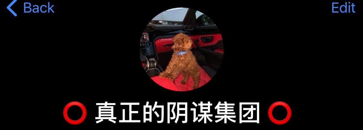 先 / Saki 🐆 tweet media