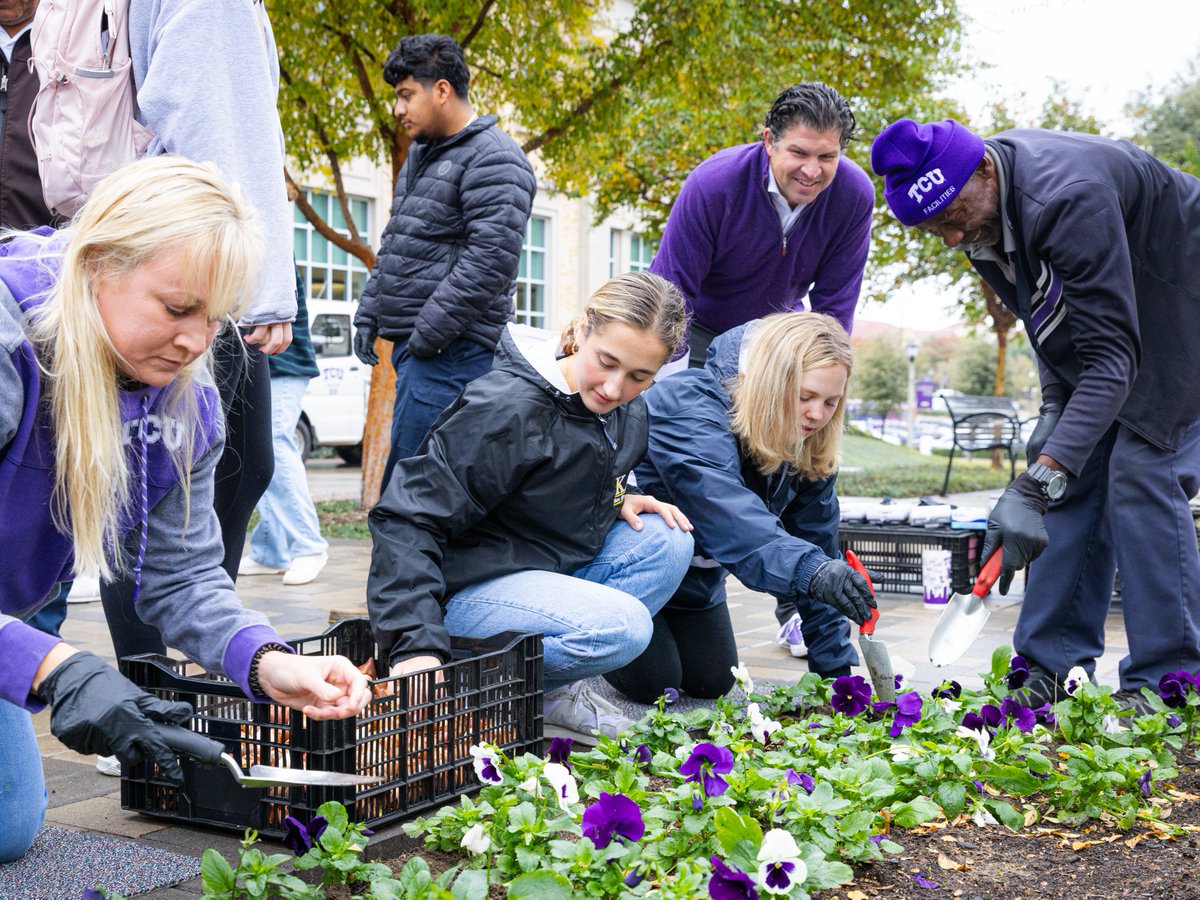 TCU's tweet photo. It may be chilly now, but spring is just around the corner!π· Before the break, President Pullin and students planted tulip bulbs to get the campus ready for a colorful spring!π #TCUTulips https://t.co/Js7aF7t21e