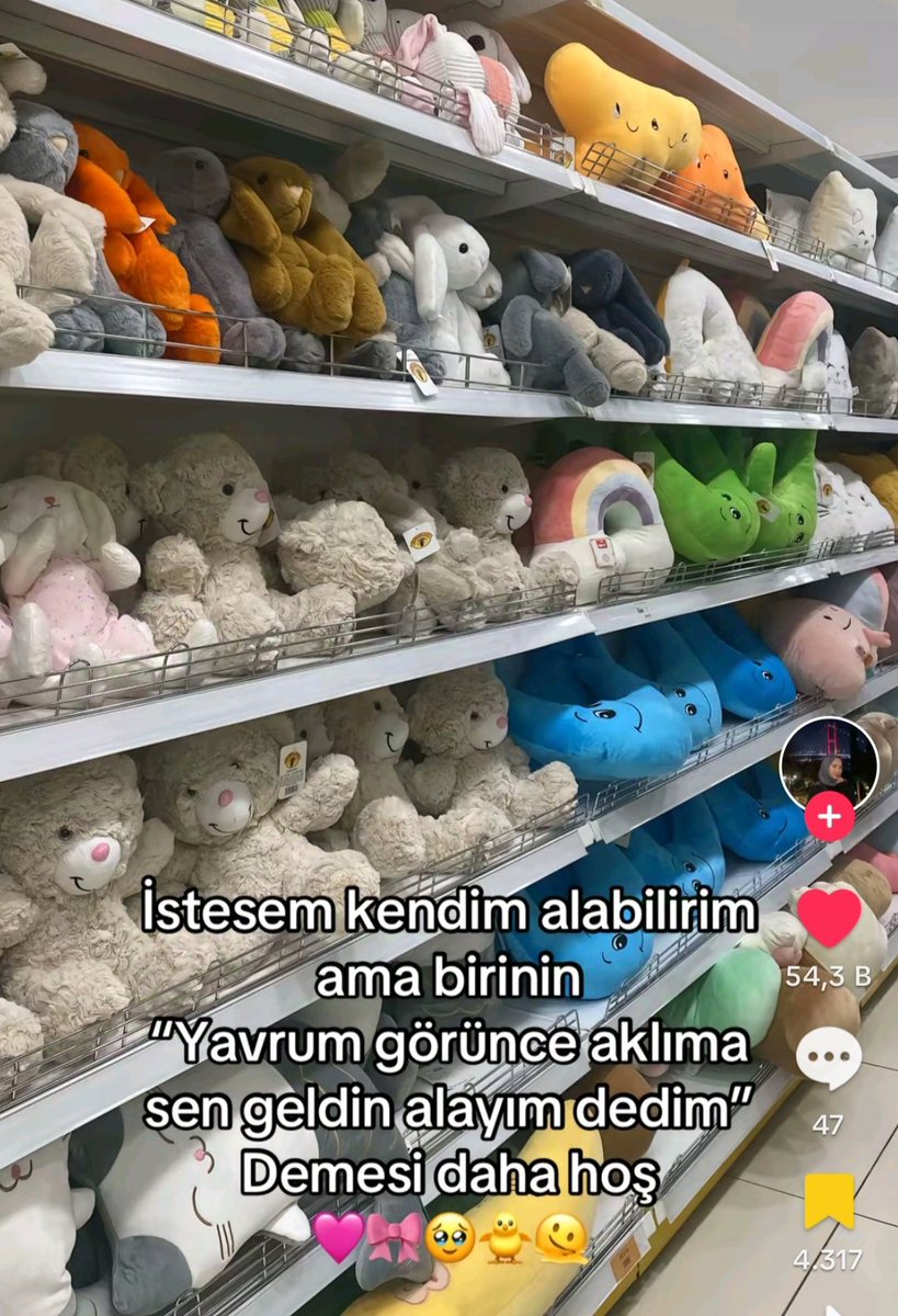 Doğa (@bizbitikya) on Twitter photo 