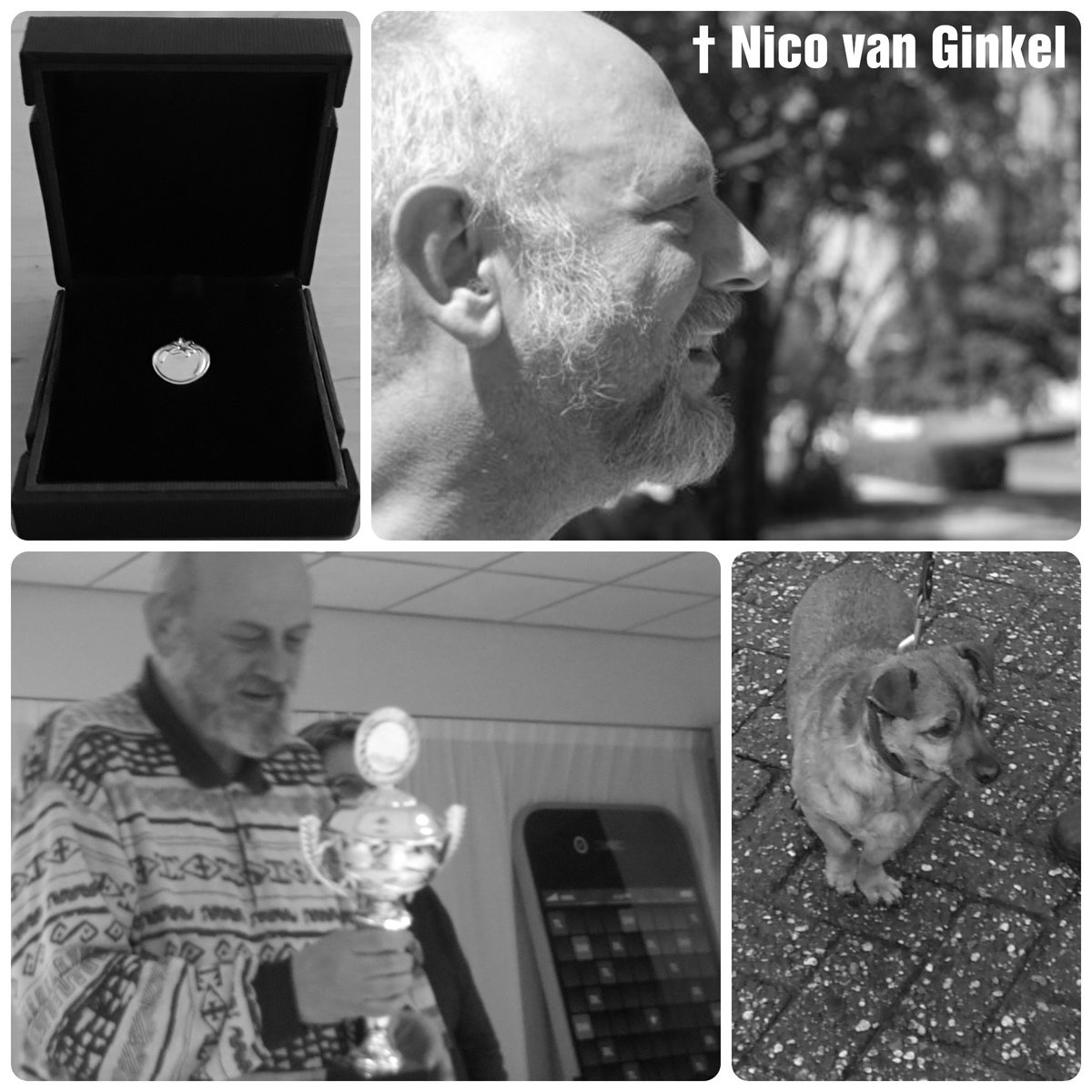 𝓝𝓲𝓬𝓸 𝓿𝓪𝓷 𝓖𝓲𝓷𝓴𝓮𝓵 𝓸𝓿𝓮𝓻𝓵𝓮𝓭𝓮𝓷
 
† In de ochtend van 3 januari is Nico van Ginkel overleden. Hij is één van de grondleggers van de SP in Veenendaal.
Nico laat familie en vrienden achter.
 
1/7