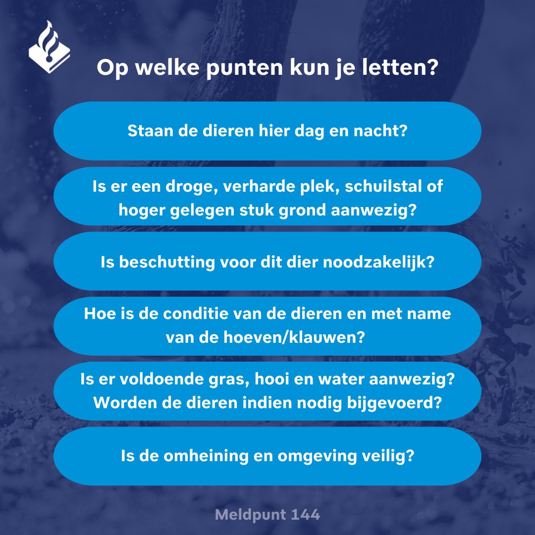 Meldpunt144's tweet photo. Dieren & modder
Er is niet altijd reden tot zorg;
🌱Weidedieren kunnen een deel van de dag in de #modder staan, mits toegang tot een hoger gelegen/verhard stuk grond of stal.
☔Beschutting is niet voor elk #dier verplicht.
Twijfel over de gezondheid of huisvesting? ☎️144 https://t.co/AN2kxH4bq2