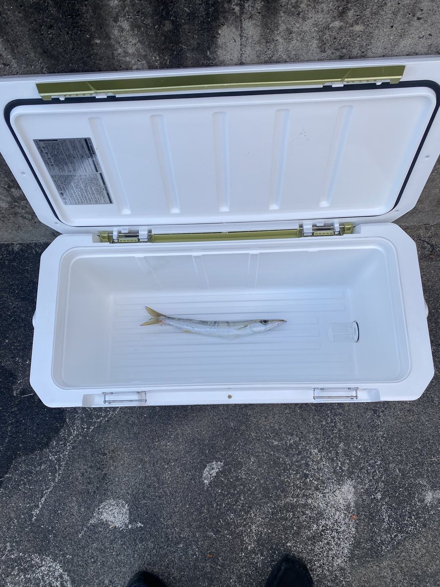 2025年初釣り。

才能が怖い。