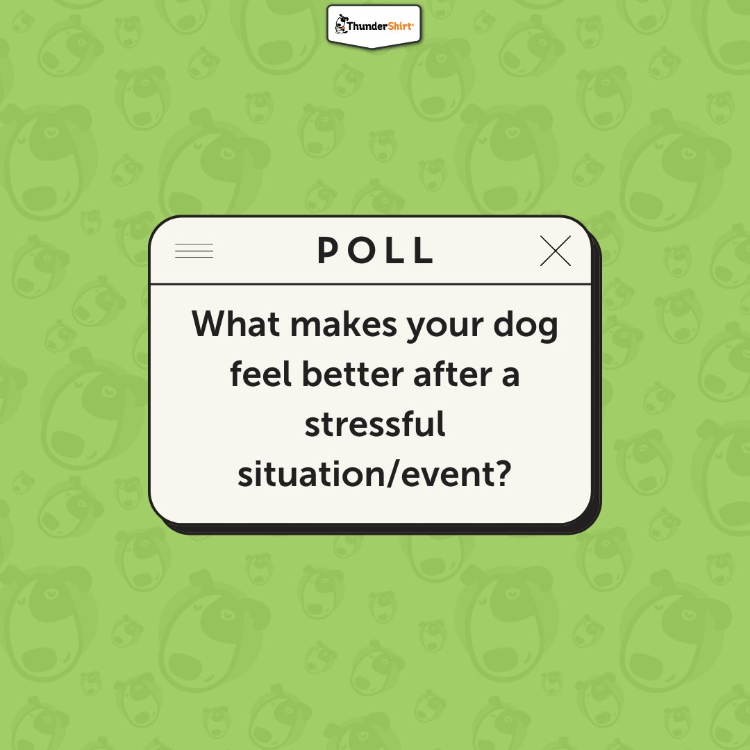 We want to know what your sweet pups love most after a hard time ❤️‍🩹 Give us some answers in the comments!