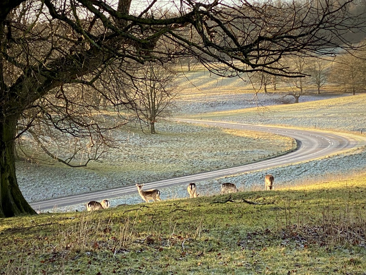A freezing, frozen, sunny one around Chatsworth - until the sleet arrived! 
Lovely first one of the year 👌😎
#mtb #mtblife #PeakDistrict
