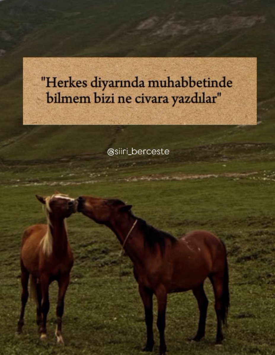 𝔞𝔩𝔟𝔞𝔩𝔦𝔞 (@birmahzunn) on Twitter photo 