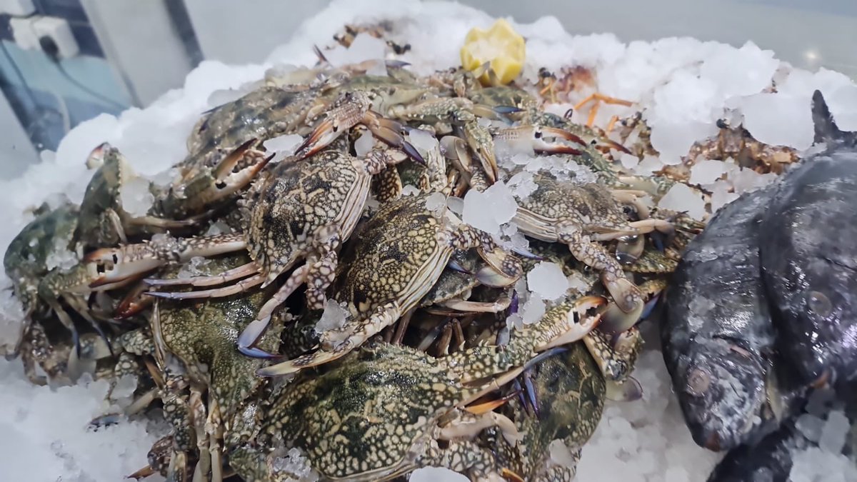 قوت البحر | seafood (@20_seafood) / Posts / X