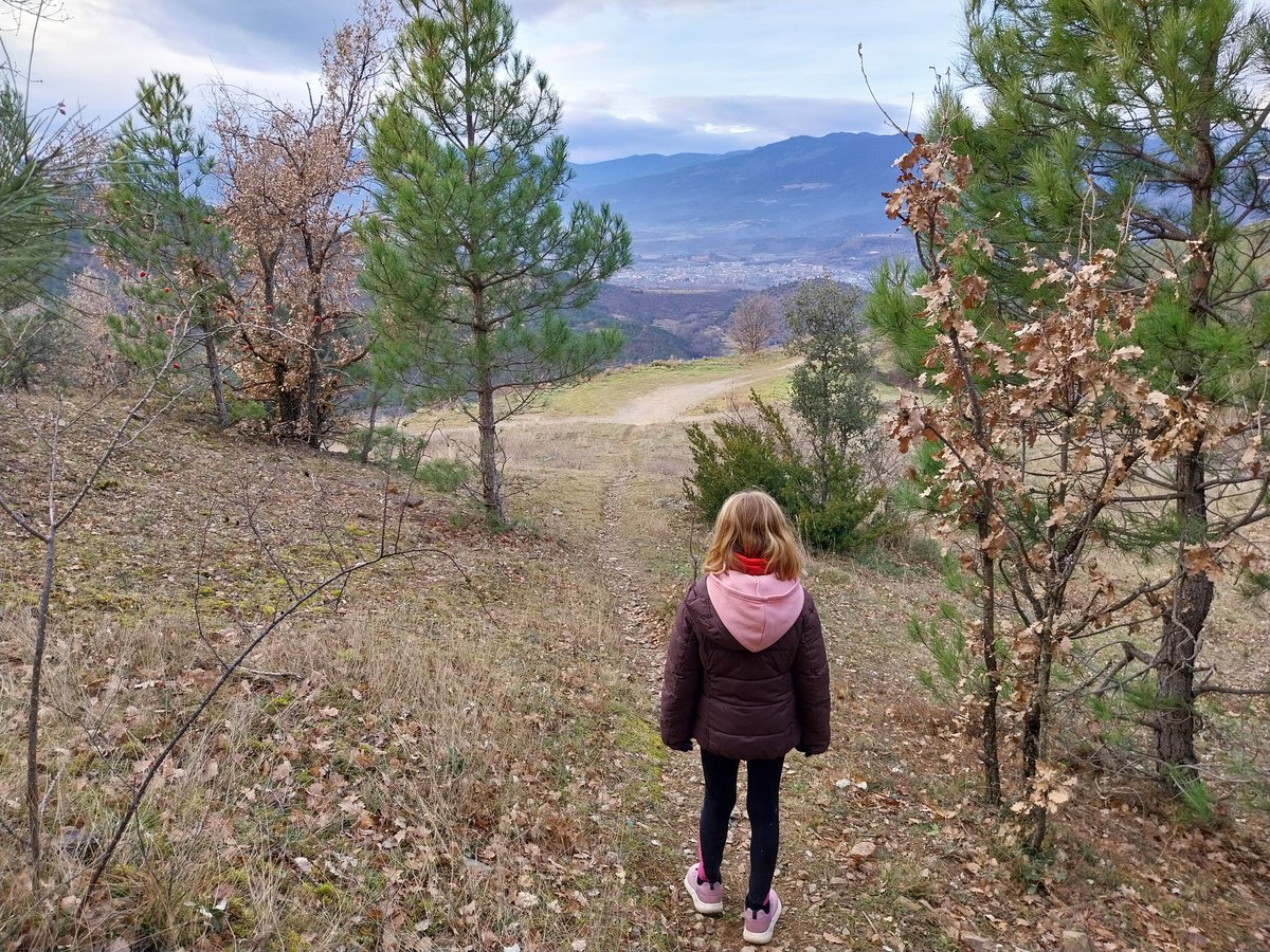 Alguns trams del camí vell de Lletó a Cerc (T.M d'Alàs i Cerc, Alt Urgell) #recerca #camins #Pirineu #publicrightsofway