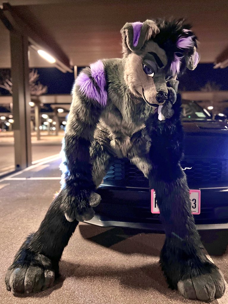 pleoshep's tweet image. find me being a dumb purble doggy this weekend at PDFC! 😏💜

( pls say hi im new to arizona and need more friends :3 ) 

#FursuitFriday #PDFC2025