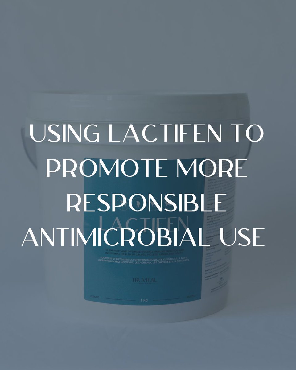 Lactifen is your go-to for supporting young animals during stressful times, especially when diarrhea strikes. Formulated with lactoferrin, a milk protein with antimicrobial properties, it helps boost immune function, reduce the severity of diarrhea, and improve weight gain.