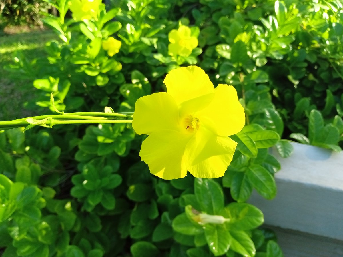 Tardes...
Que sean buenas. ☕☕☕